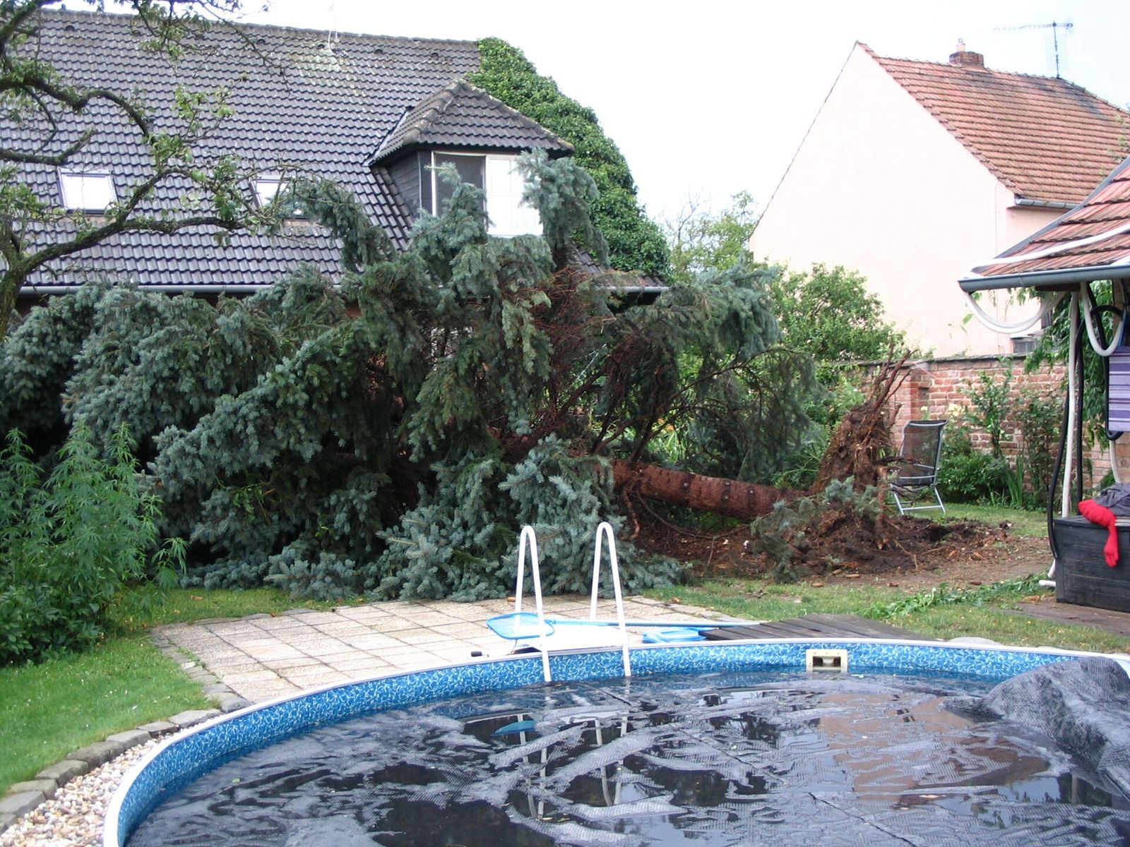 Large fallen tree beside a house and garden pool