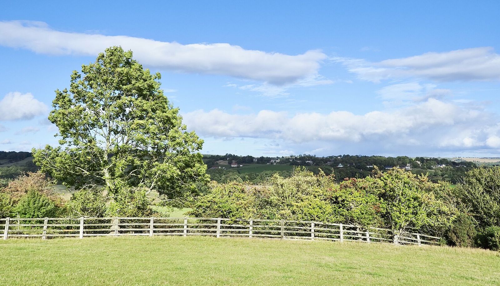 Mature trees beyond a wooden fence and open lawn
