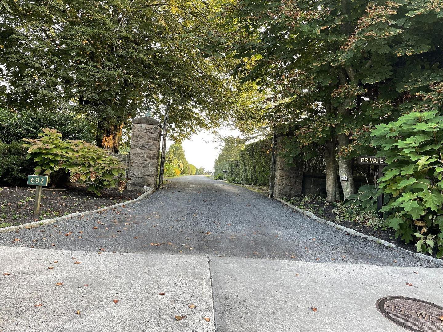 Quiet residential lane beneath mature tree canopies